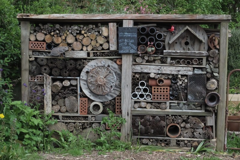 E56FBB12-F97C-4D86-A724-FB445EC55348