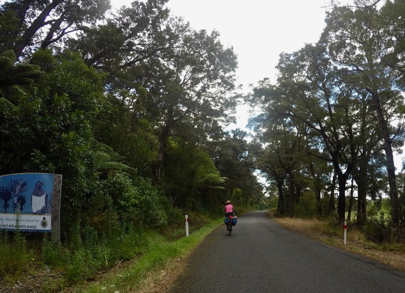 DCIM101GOPROGOPR2741.