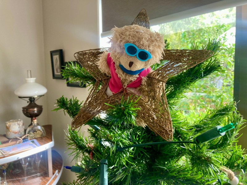 Bob’s letter from the Christmas&nbsp;tree