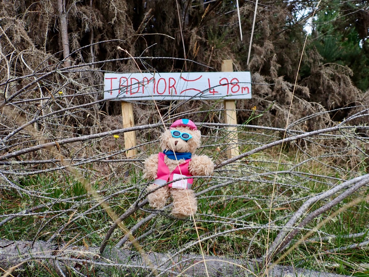 Bob’s letter from the Tandem: It is getting really&nbsp;weird