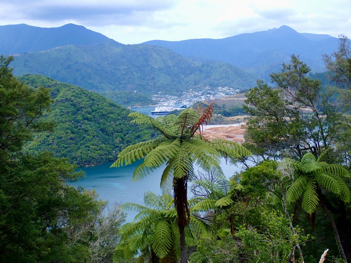 Another  Milestone: The Mainland&nbsp;☑️