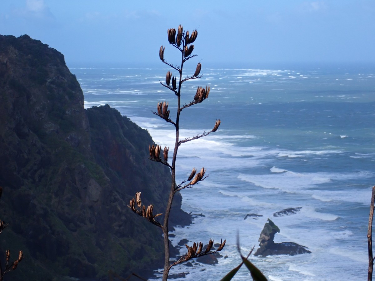 A windy wander